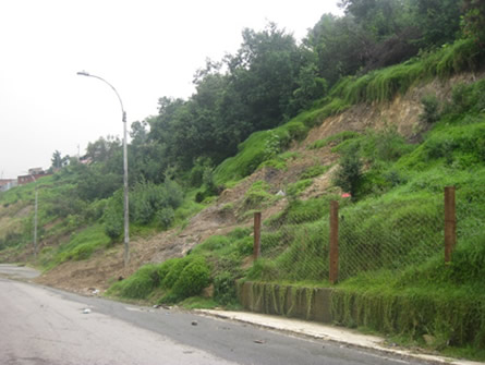 Avenida Circunvalar con calle 38