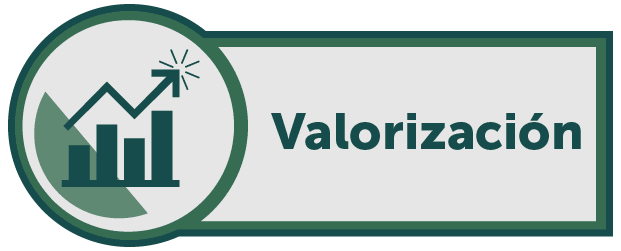 Valorización