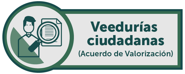 Veedurias ciudadanas