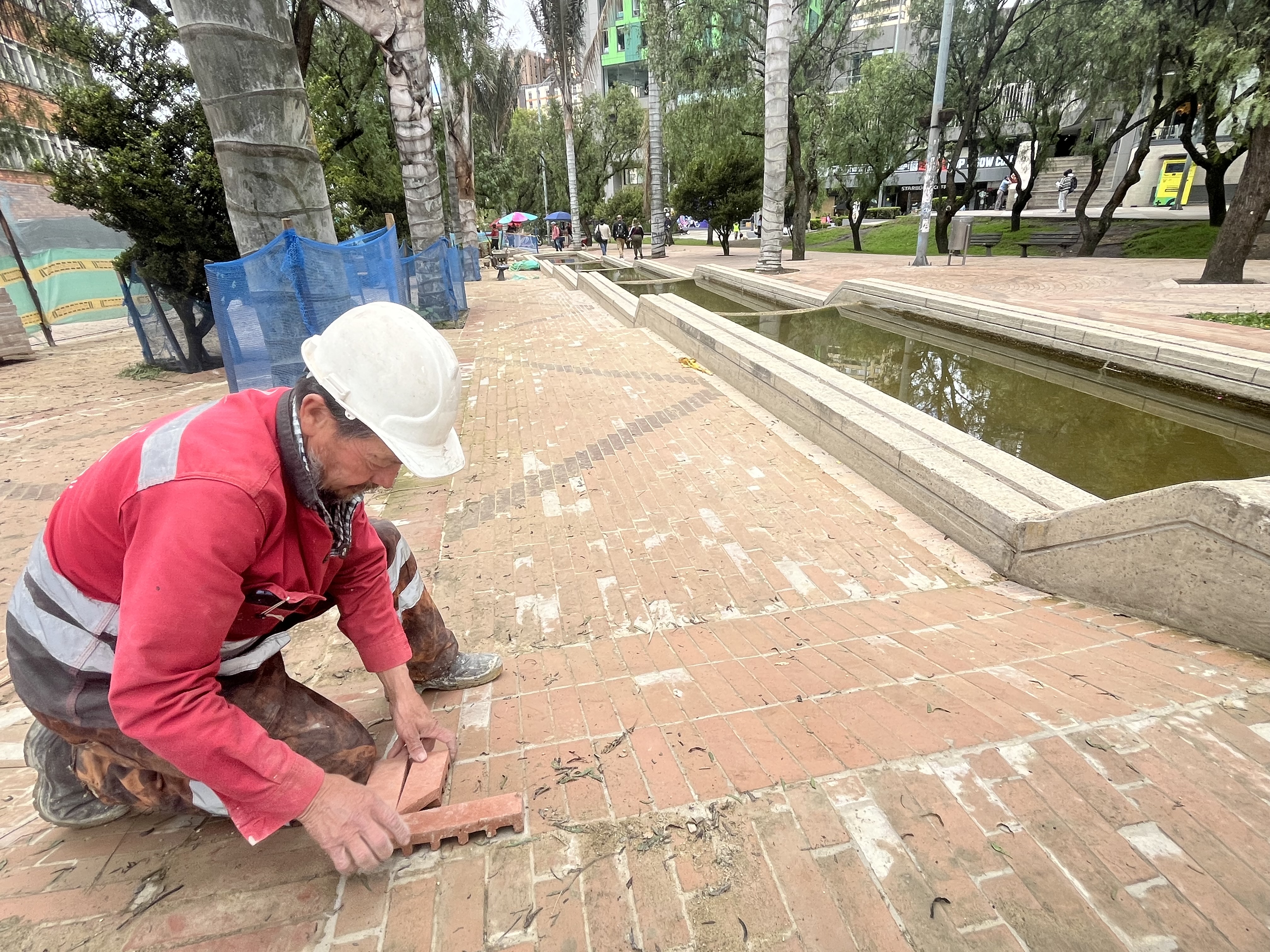 Imagen de Odoo y bloque de texto