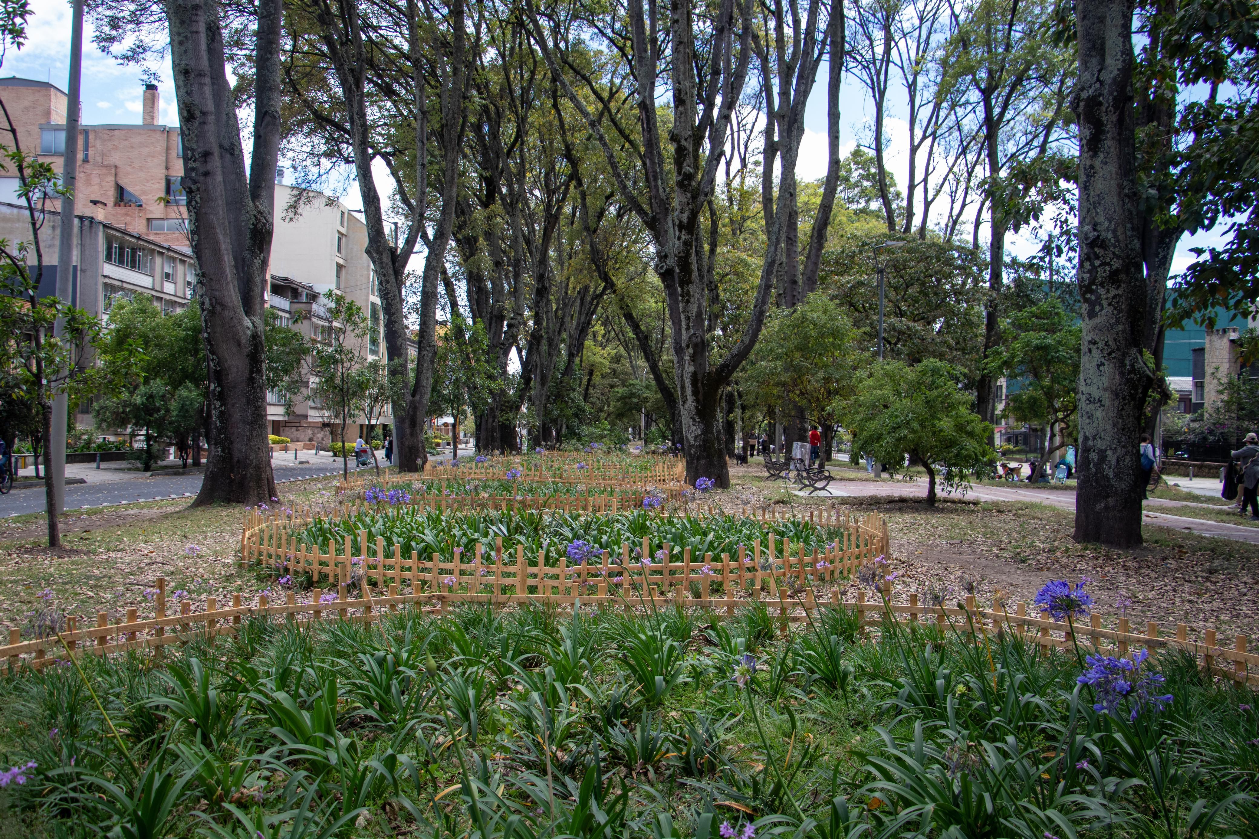Texto de Odoo y bloque de imagen