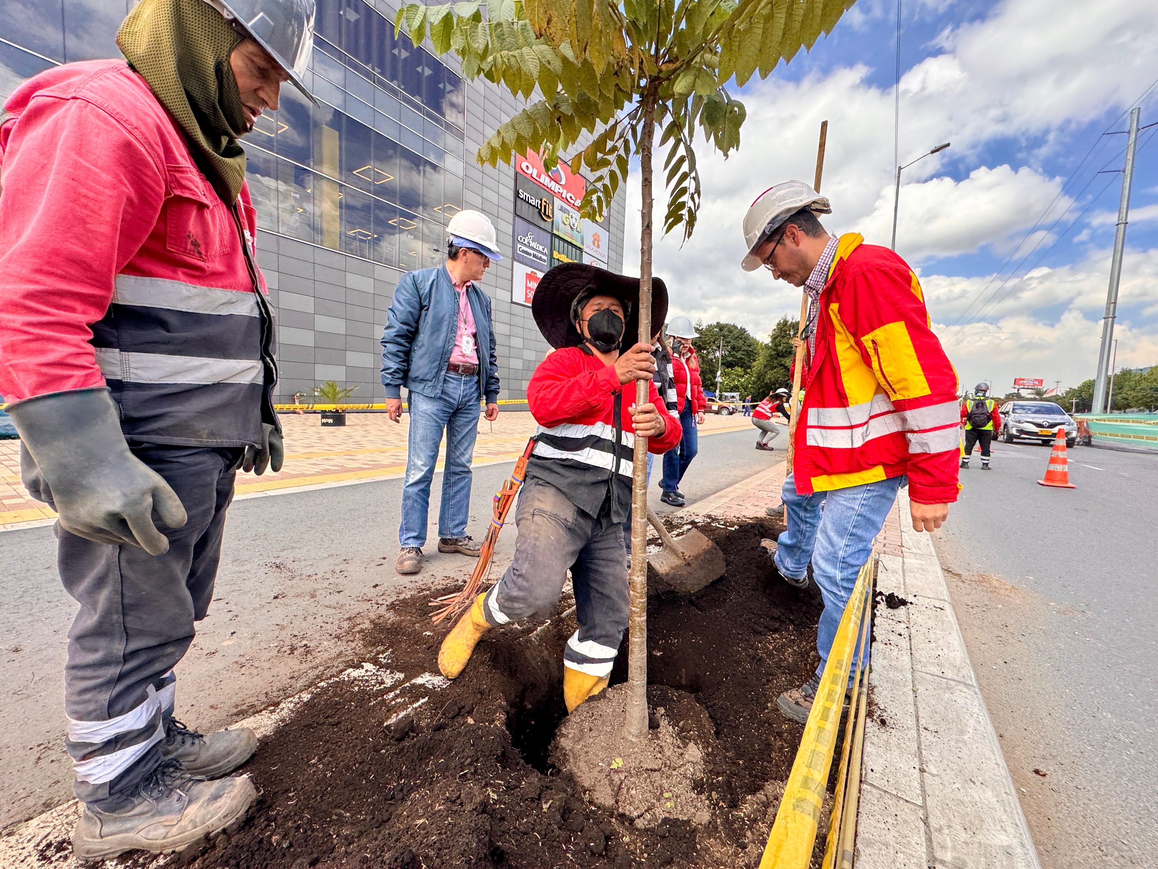 Texto de Odoo y bloque de imagen