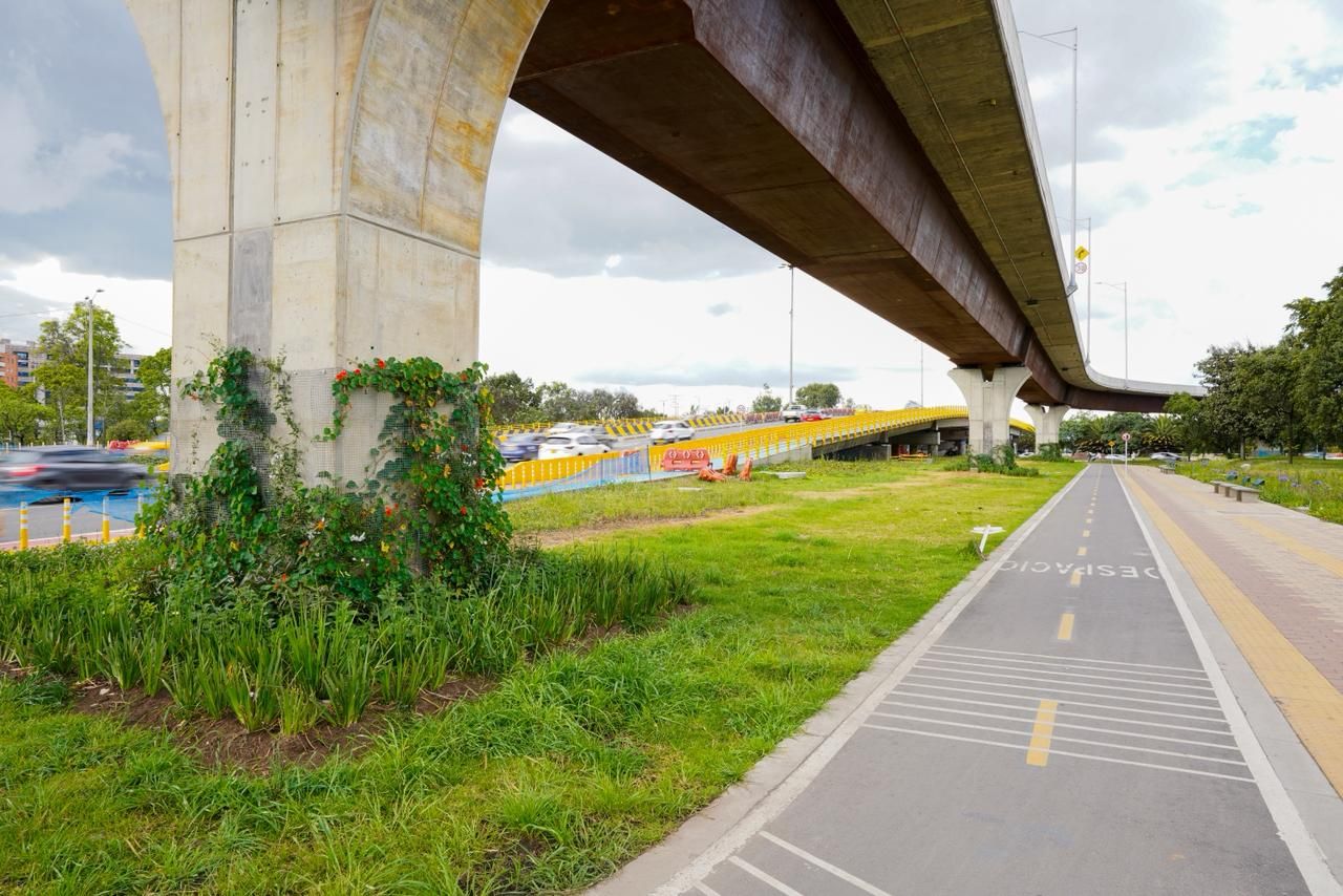 Odoo CMS - una imagen grande