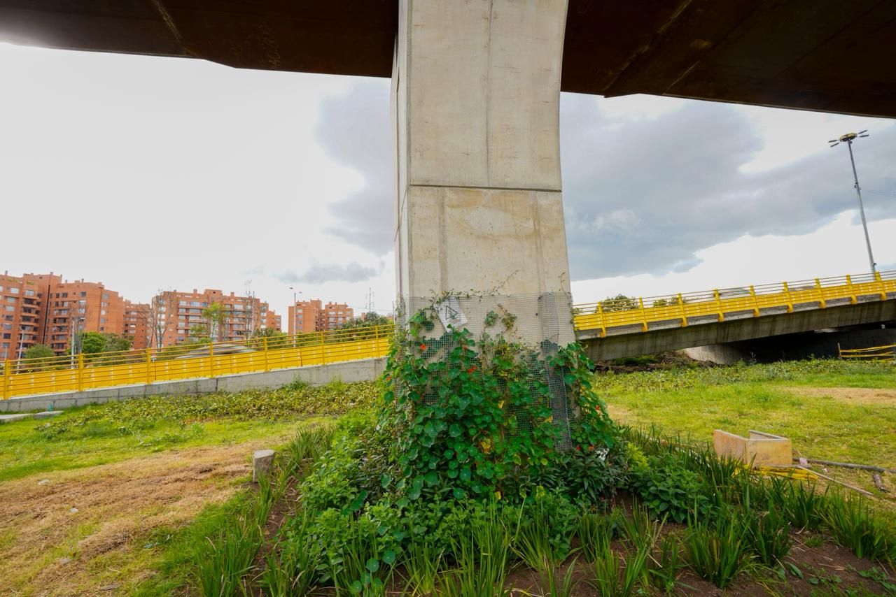 Imagen de Odoo y bloque de texto