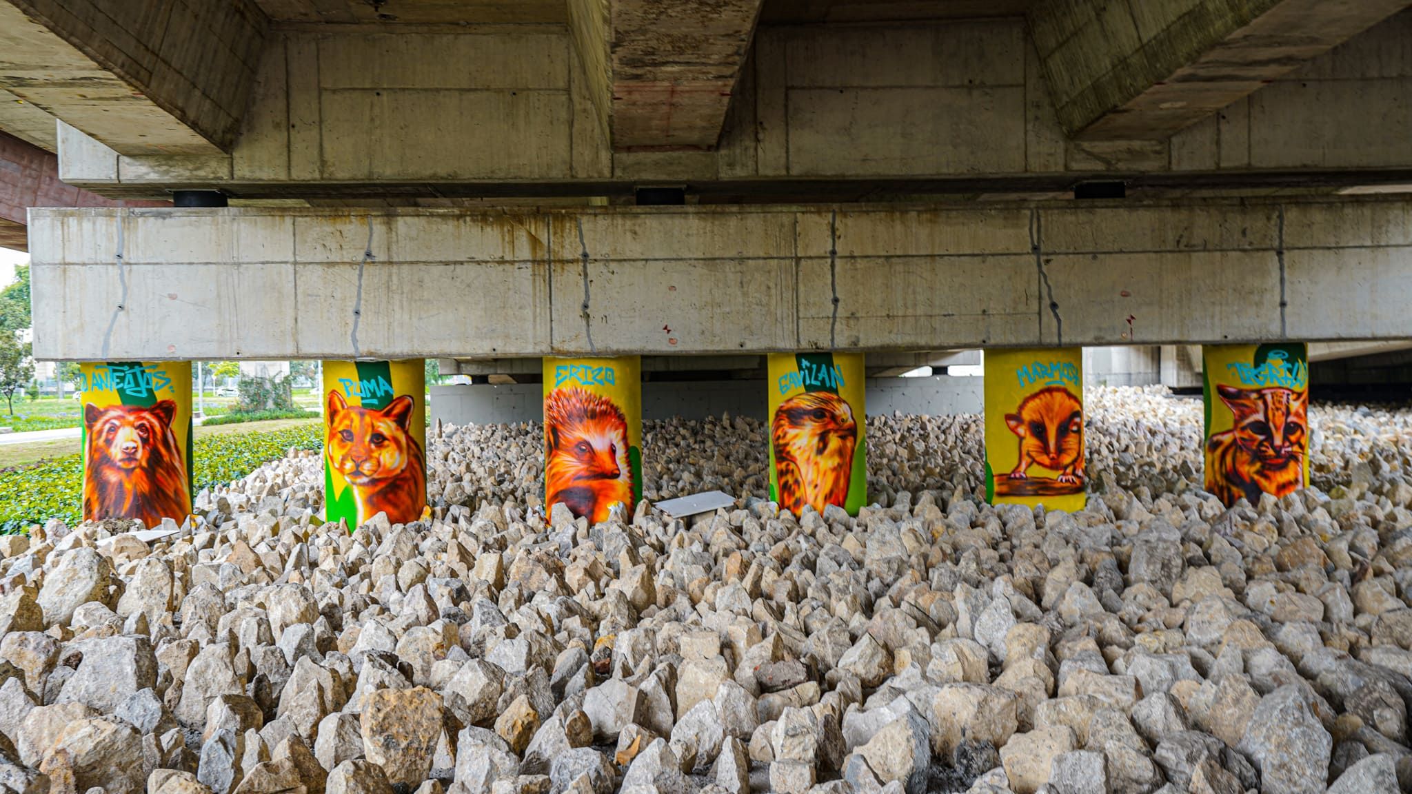 Odoo CMS - una imagen grande