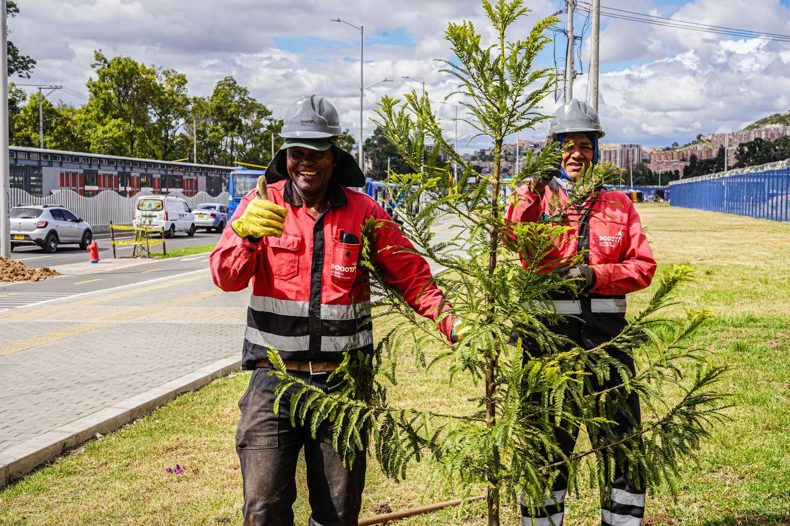 Imagen de Odoo y bloque de texto